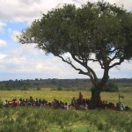 maasai-agm-under-the-tree