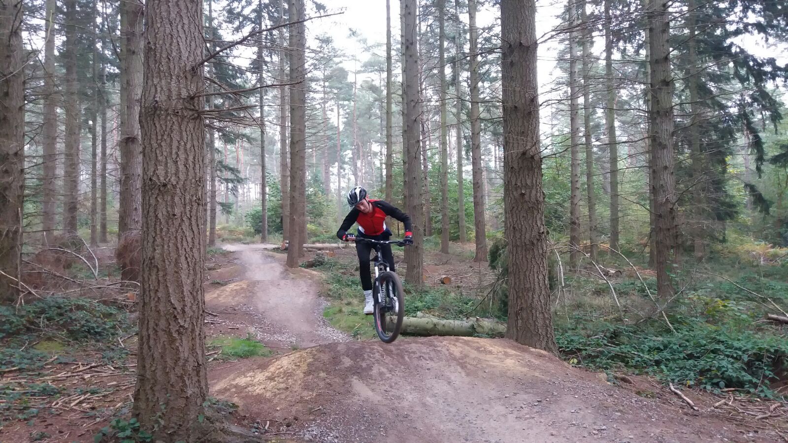 bedgebury cycling